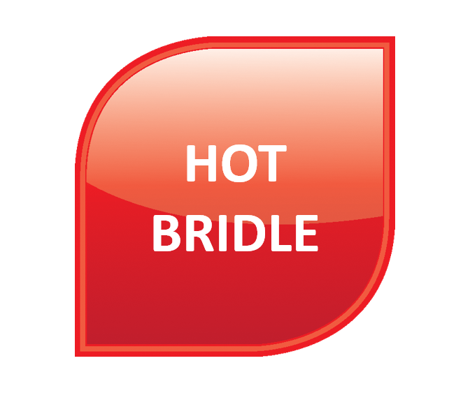CAL - Hot Bridle