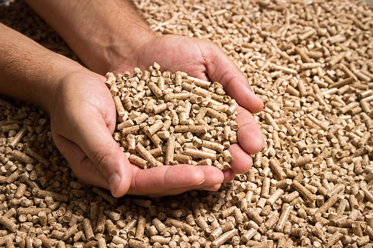 Biomass to Syngas