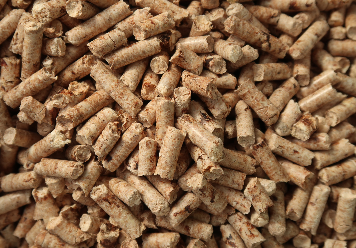 Biomass