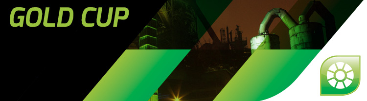 AMETEK Land Industry Application Specific - Gold Cup Reference Pyrometer